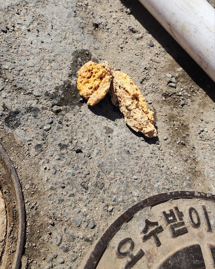 오수받이 작업 중 나온 찌꺼기